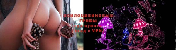 бошки Балахна