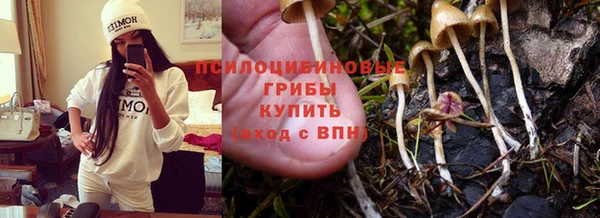 apvp Балабаново