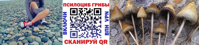 купить  цена  Глазов  Галлюциногенные грибы MAGIC MUSHROOMS 